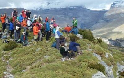 El camino a las Colonias de Ánade mejorado con más de cien metros de hormigonado